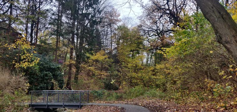 Herbstlich gefärbter Wald mit einer schmalen Fußgängerbrücke